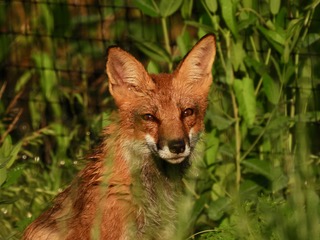 Backyard Basecamp tweet media