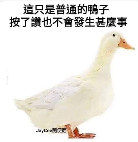ProfessorIQ's tweet photo. https://t.co/NP1fGJHkQl