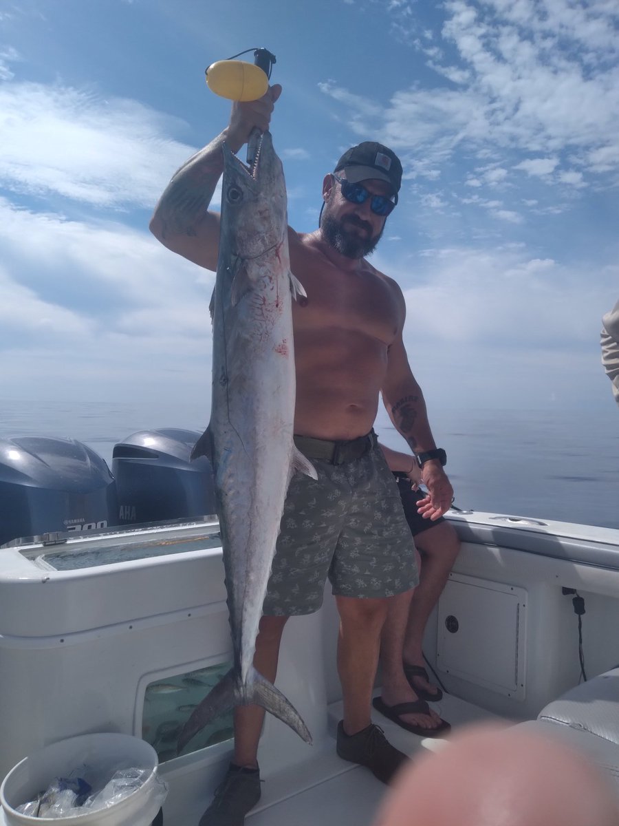 Gulf Assassin tweet media