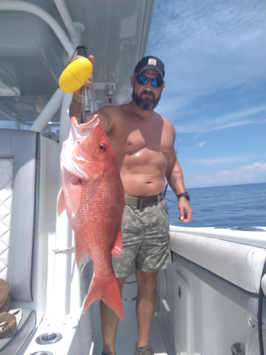 Gulf Assassin tweet media