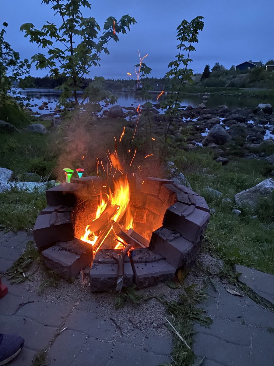 GeorgeMurphyOil's tweet image. Nudding like it...