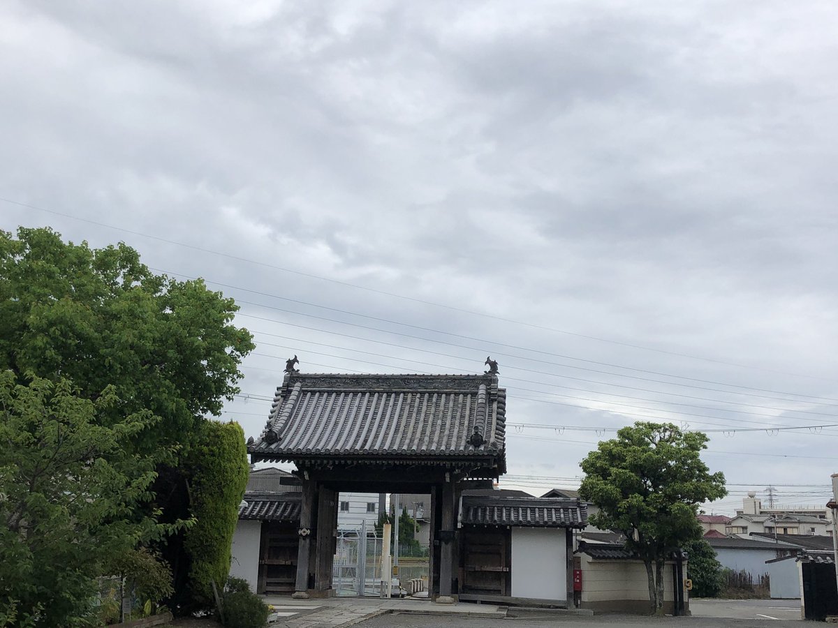 ゲロゲロゲロと、カエルの鳴き声が聞こえます。

境内に響き渡るその声は、まるでたくさんの仏や菩薩たちがお念仏をお唱えしているようにも聞こえます。

と、西山上人なら言うのでしょうか…