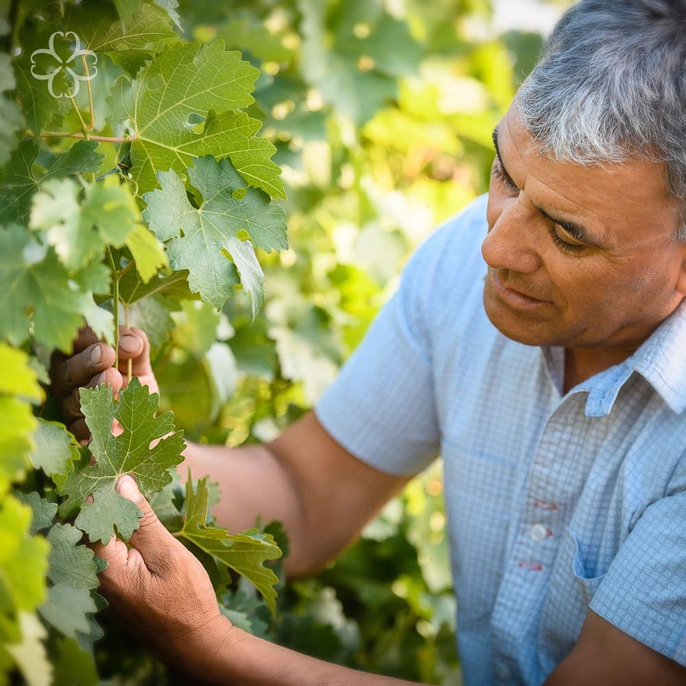 5 de junio | Día Mundial del Medio Ambiente 

Esta fecha es un llamado para que seamos protagonistas activos del desarrollo sustentable y equitativo.
Nuestro objetivo es continuar sumando prácticas, tanto a nivel organizacional, como por parte de cada miembro de nuestro equipo.