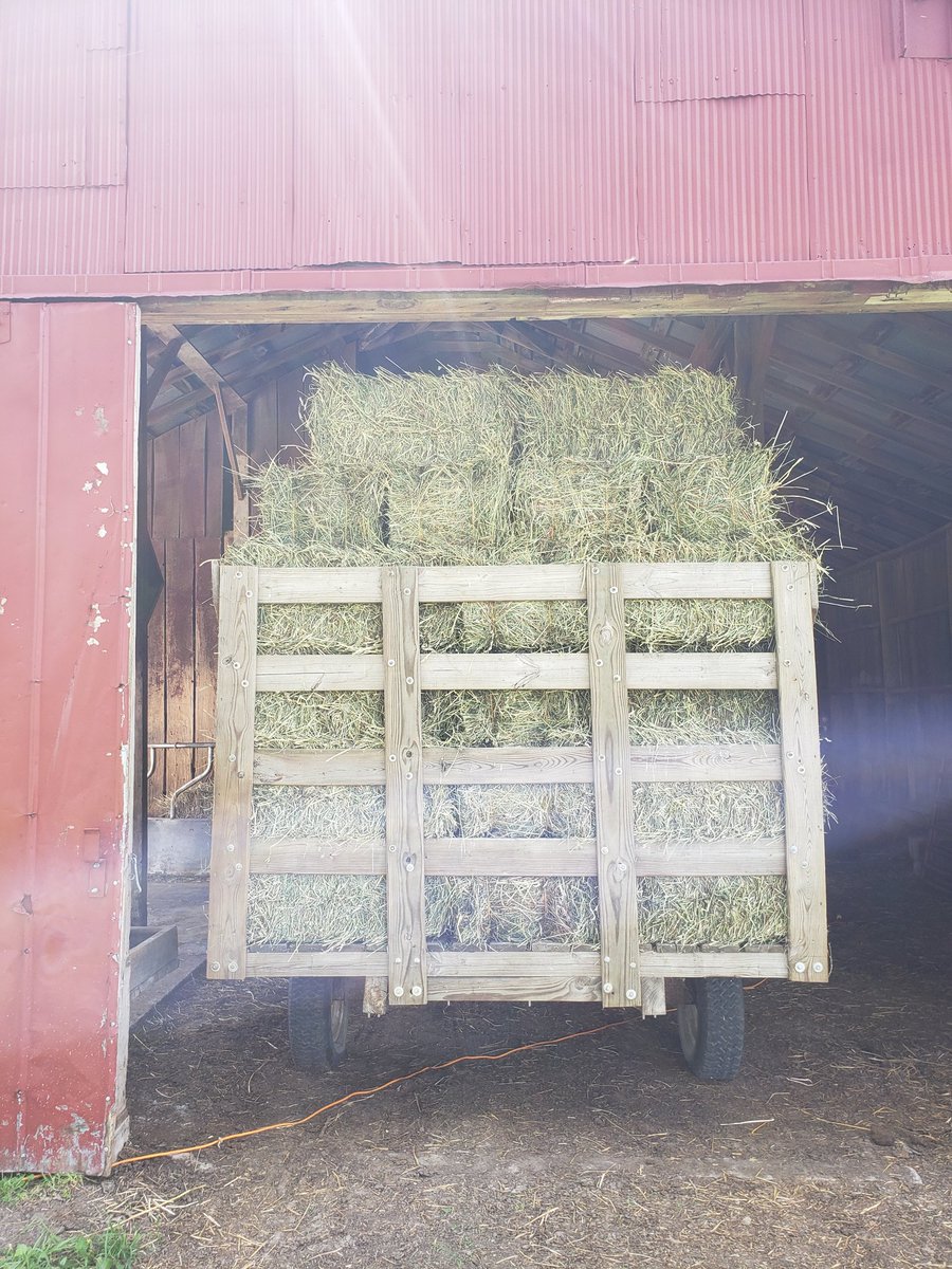 Ryan Heiniger tweet media