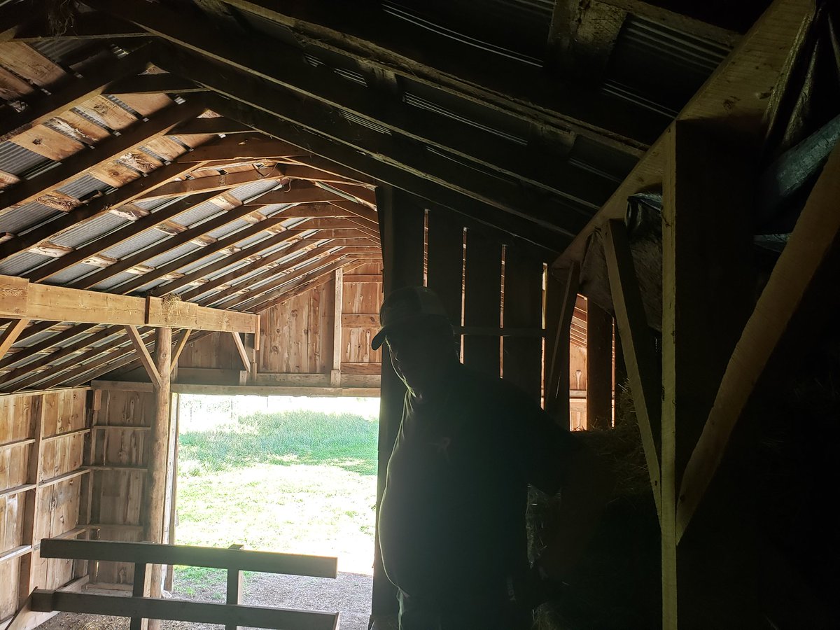 Ryan Heiniger tweet media