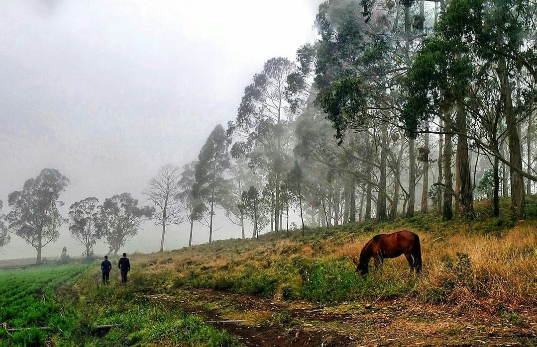 SpaceTourin5's tweet photo. Esto también es aquí en la República Dominicana ! Nada más y nada menos que en Monte Bonito, Padre las Casas, Provincia de Azua, Región Suroeste del País !!! #RinconcitosRD #RDporloalto🇩🇴 📸 gloriapadillac https://t.co/gzYc8wb3Y5
