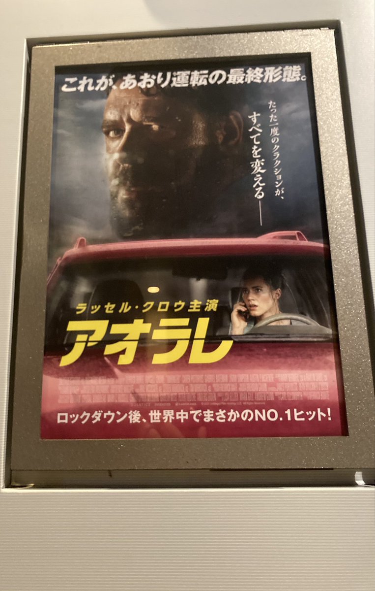 timmy_nissy's tweet photo. “朝からラッセルクロウ” https://t.co/mYmnEUkNng