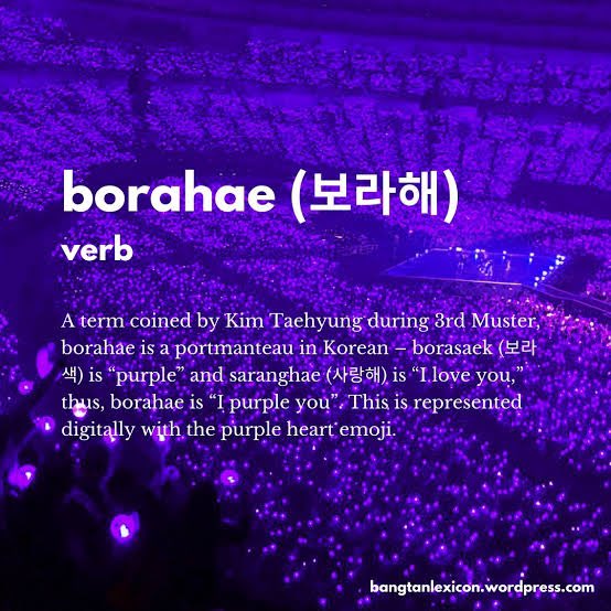 LheonaMae's tweet photo. BORAHAE a word tha means I WILL TRUST YOU AND LOVE YOU TILL THE END. It's a special word for Army and BTS this word is invented by Kim taehyung aka V 
This is a lovely word between Army and BTS
#ProtectBorahae https://t.co/ThlM2tpbRT