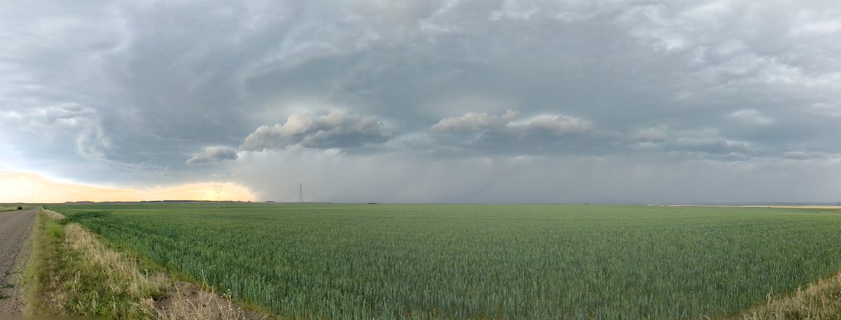 danncianca's tweet image. Strong line of thunderstorms in eastern Montana right now, just west of Miles City.
#MTwx
#AlwaysChasing