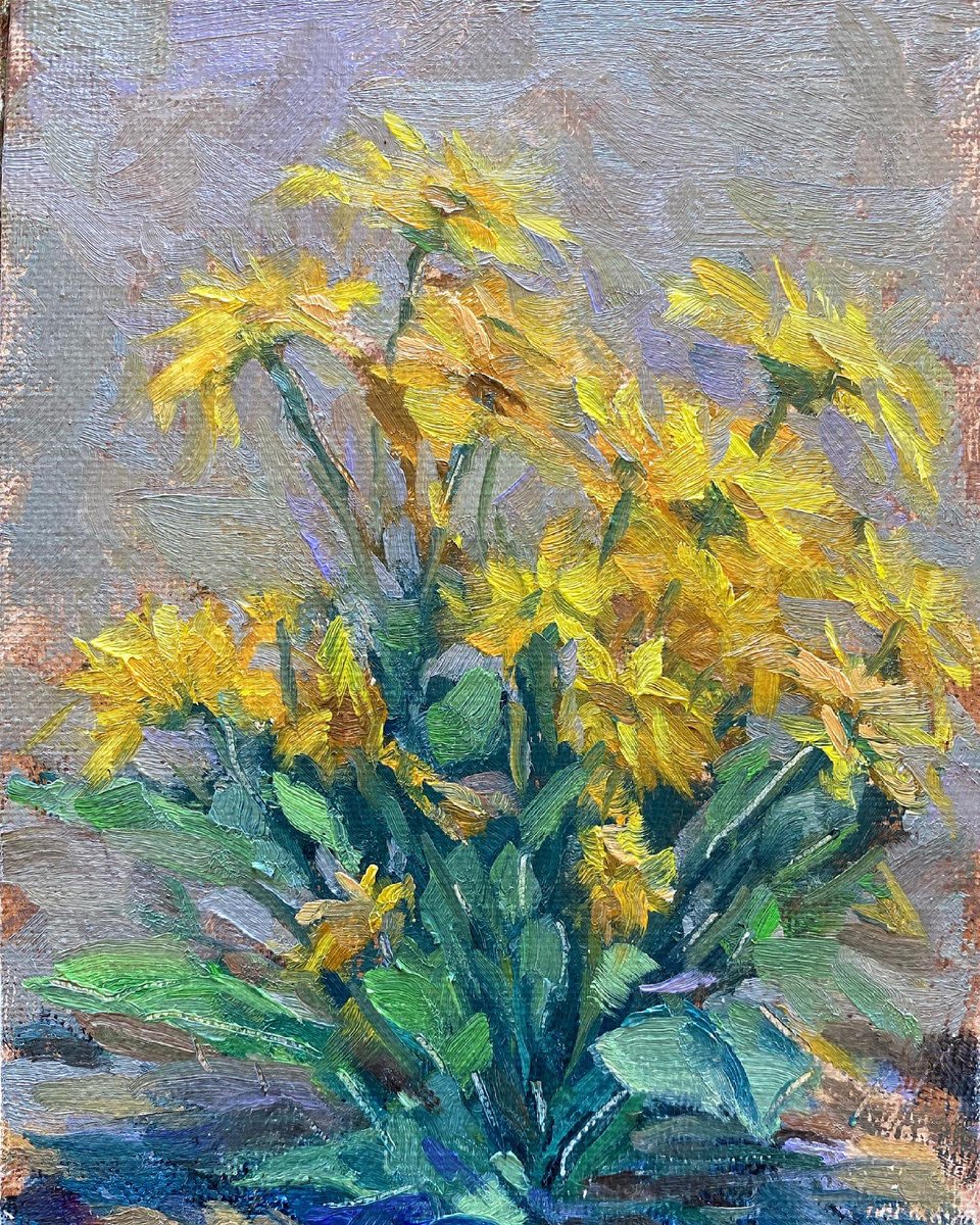 wyokostur's tweet photo. @clintavo Today’s plein air oil painting of Arrowleaf Balsamroot in the Snowy range in south central Wyoming.
#wyomingartist https://t.co/LzD8fHfb72