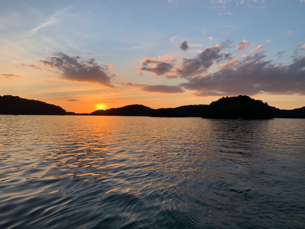 Amy Scott tweet media