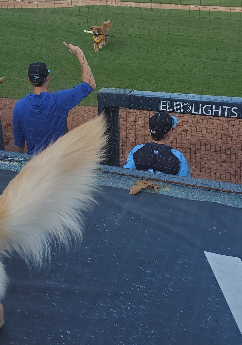 eledlights tweet picture