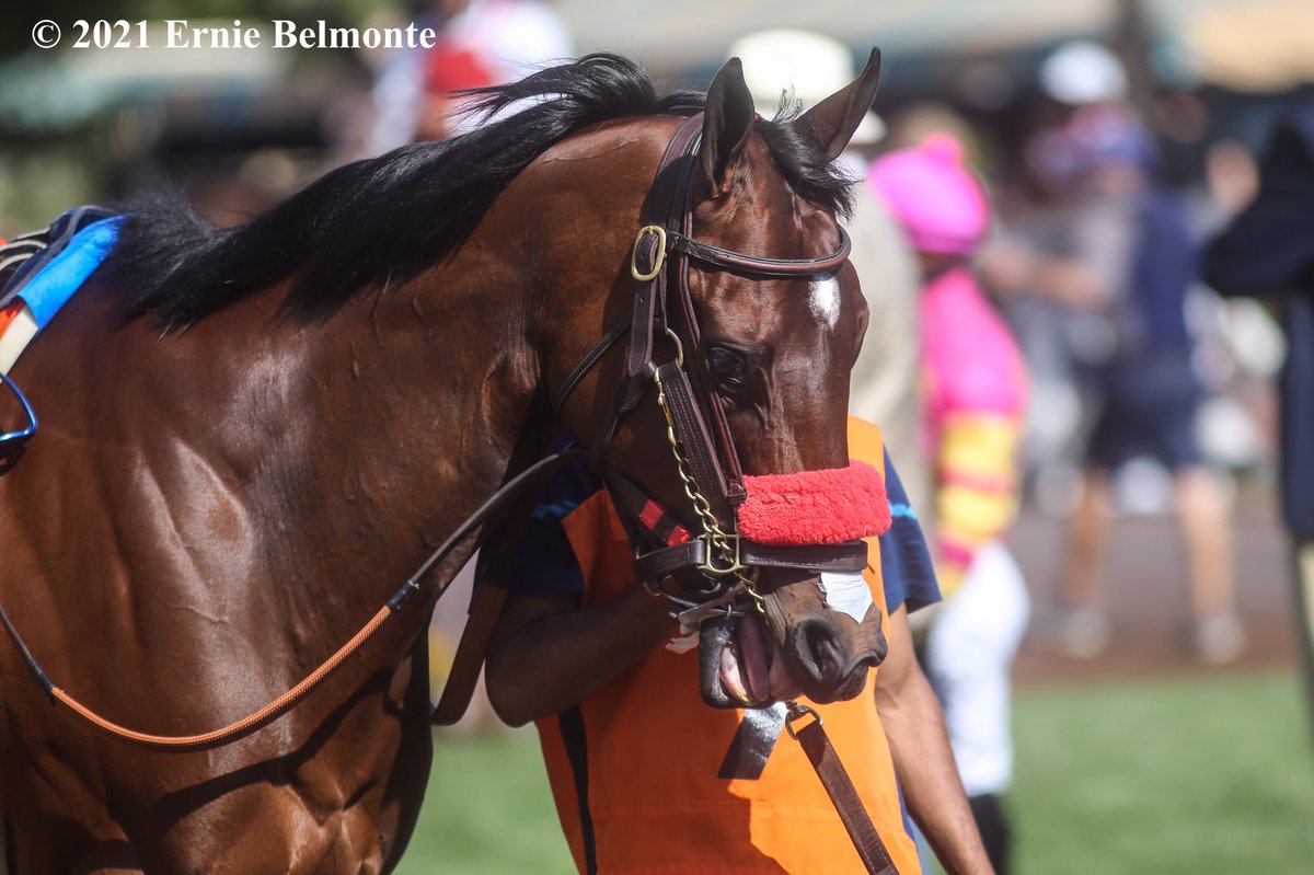 Ernie_Belmonte's tweet photo. Venetian Harbor takes the G2 Monrovia under @_MGutierrez_ for trainer Richard Baltas. https://t.co/gCIItqENjb