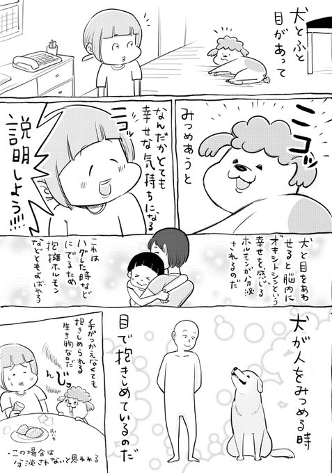 犬は目が合うと ニコッ けっして目を合わさない猫は あるある漫画に共感 まいどなニュース