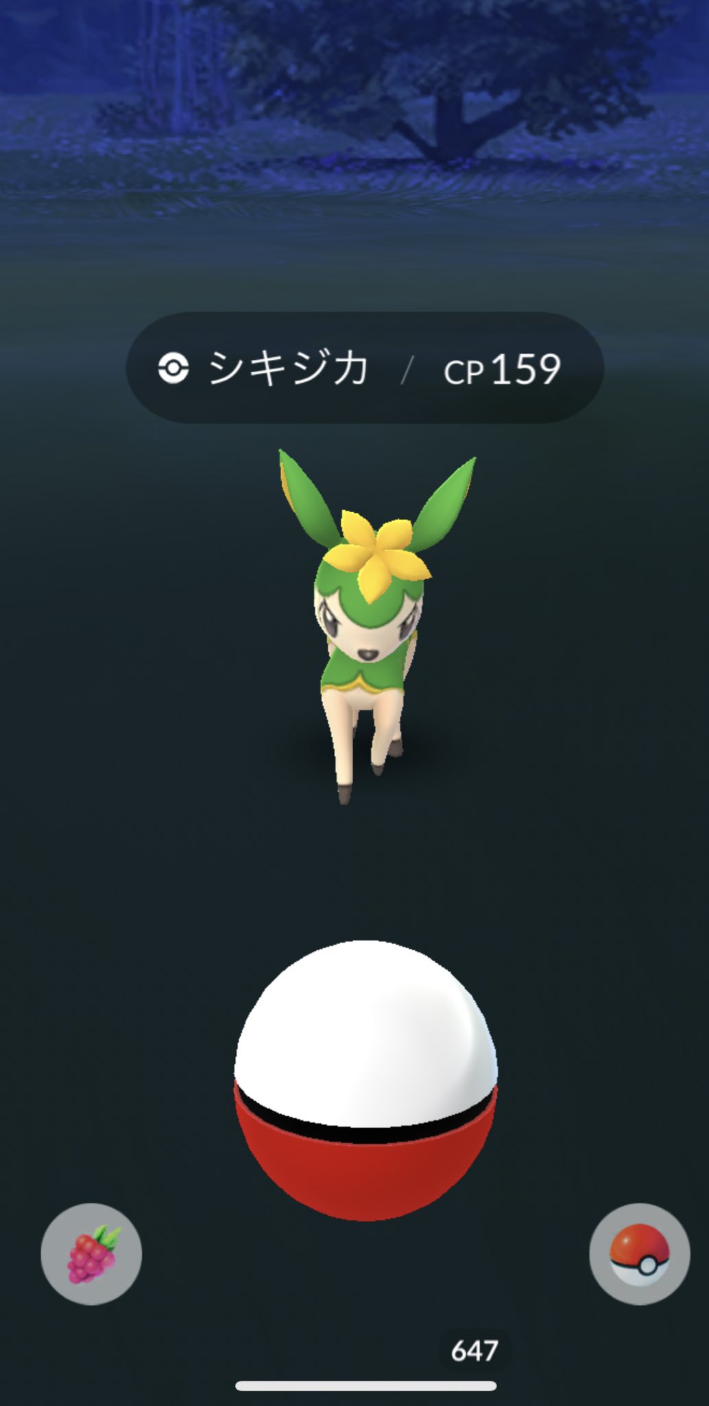 Team 60 柚 Pokemongo おこ な夏ジカさん初めまして ˊᵕˋ やっといたー ᵕ 今日は予定があるので お昼すぎからフカマル参加できるかな フカマルコミュニティデイ シキジカ 夏の姿 初get ポケモンgo T Co Team 60 柚 Pokemongo おこ な夏ジカさん初めまして ˊᵕˋ やっといたー ᵕ 今日は予定があるので お昼すぎからフカマル参加できるかな フカマルコミュニティデイ シキジカ 夏の姿 初get ポケモンgo T Co