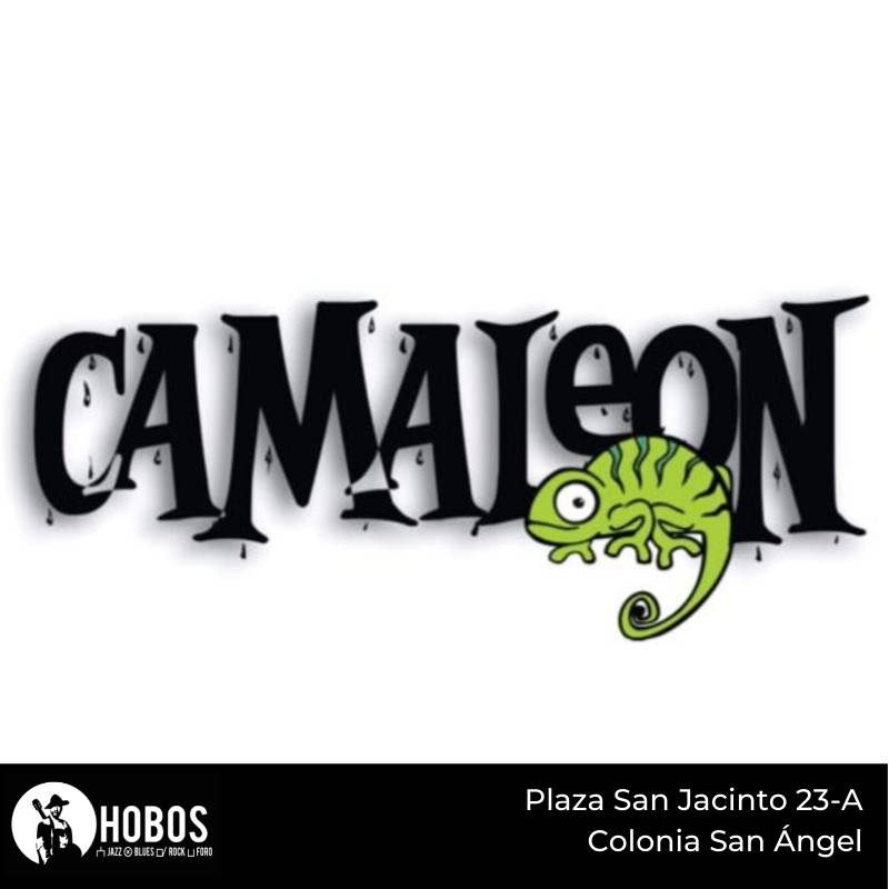 Hoy hay #grunge en Hobos con Camaleón