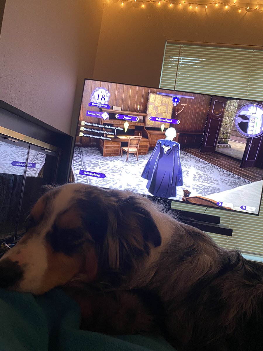 LokiLikesIt's tweet photo. Who’s tryna hook us up with a capture card so we can stream some Fire Emblem #FireEmblem #FE3Houses https://t.co/vkQV9PBNcj