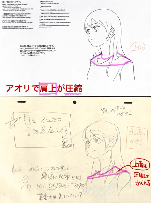 【アオリ顔】
・肩上面が圧縮して狭く見える
※21年5月基礎コース「アオリフカン顔」添削結果より 
