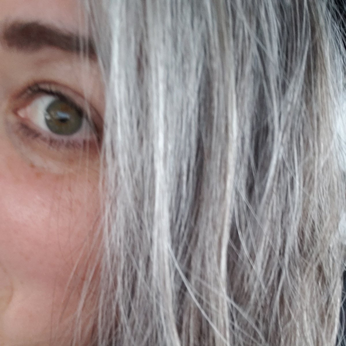 #NewProfilePic #GreyHairDontCare