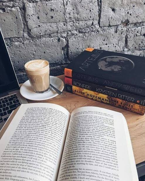 Gabiestarss's tweet photo. ✨ Livros lidos 2021 ✨ https://t.co/fr8uWMevS8