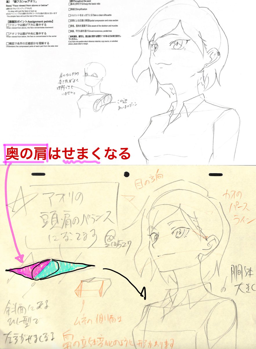 【アオリ顔】
・肩上面が圧縮して狭く見える
・奥の肩が狭く見える
※21年5月基礎コース「アオリフカン顔」添削結果より 