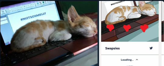 SmellyCat.Finance tweet media