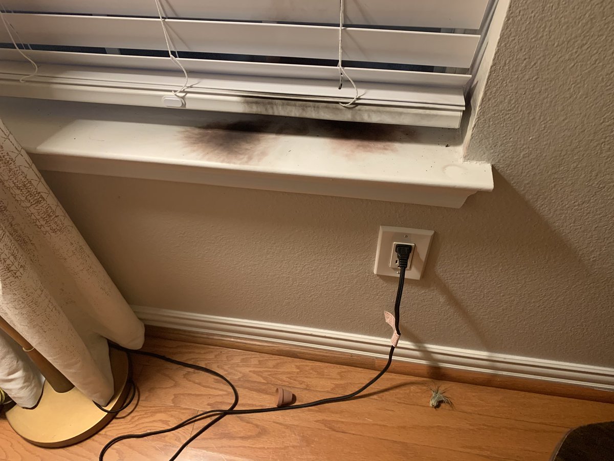 Meredith Yeomans tweet media