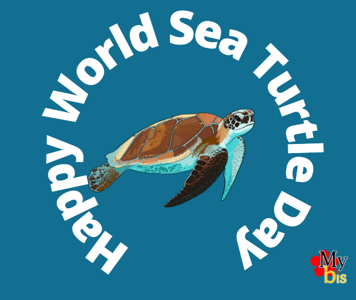 Malaysia Biodiversity Happy World Sea Turtle Day T Co Qezz4tue9b Twitter