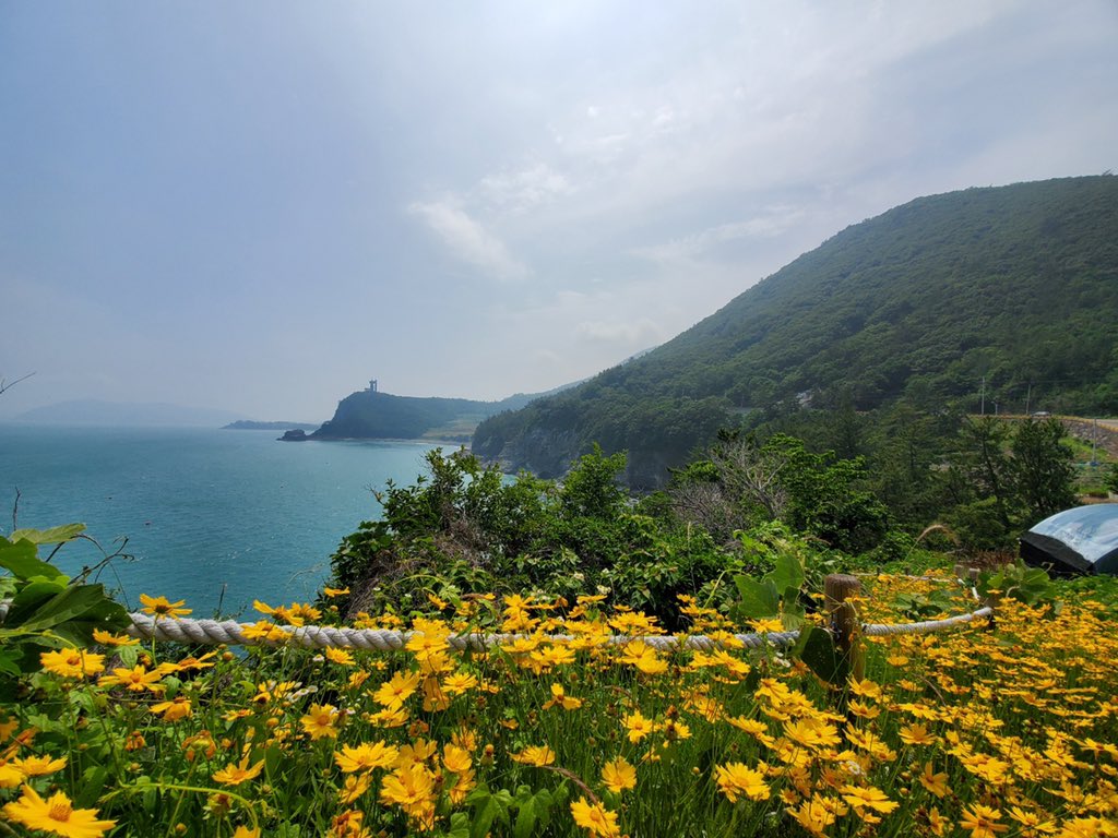 지영환 Ji YOUNG HWAN (@sssseoulsss) on Twitter photo 