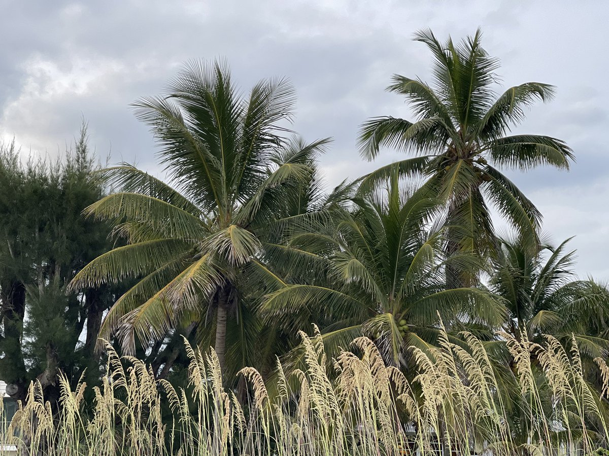 Stephanie 🖤 tweet media