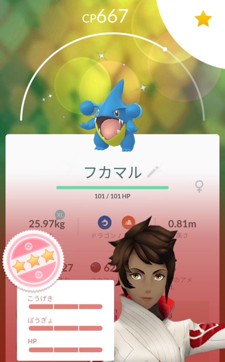 666vel666 ポケモンgo 専用アカウント 666vel666 Twitter
