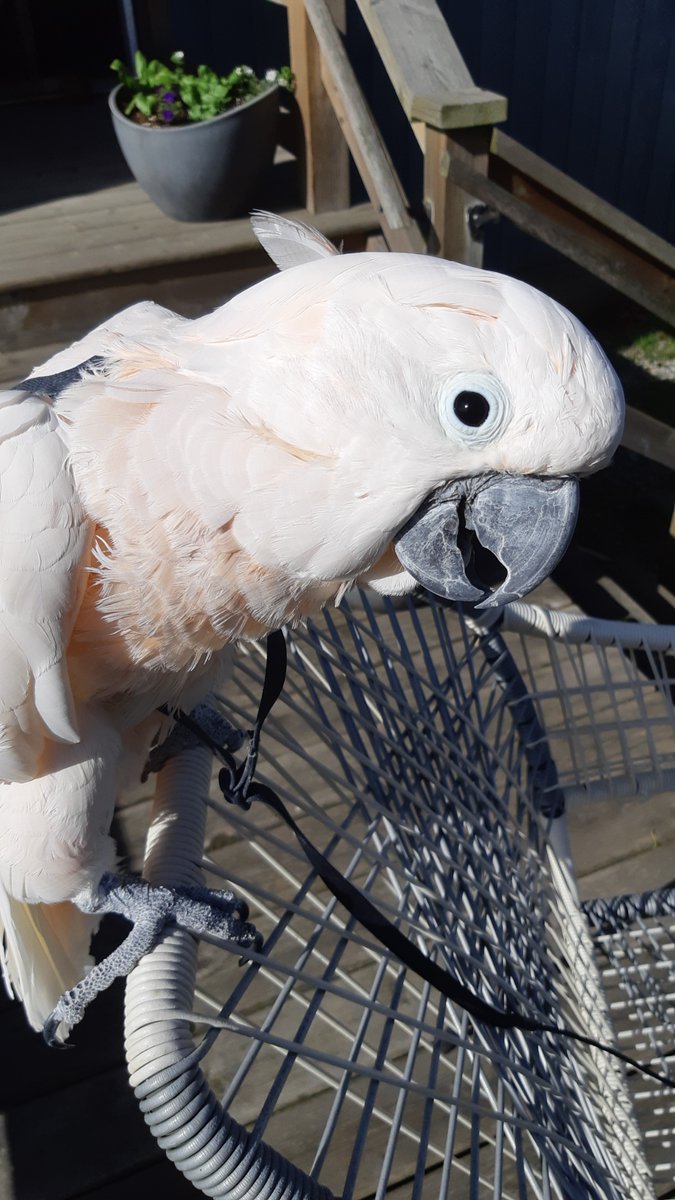 May 2021 Newsletter conta.cc/3p4fMuR