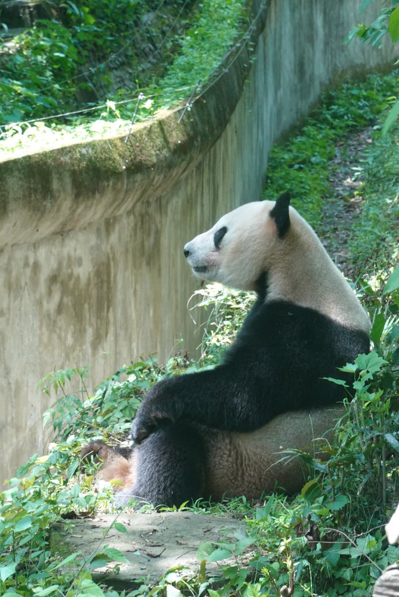 我终于活过来了……