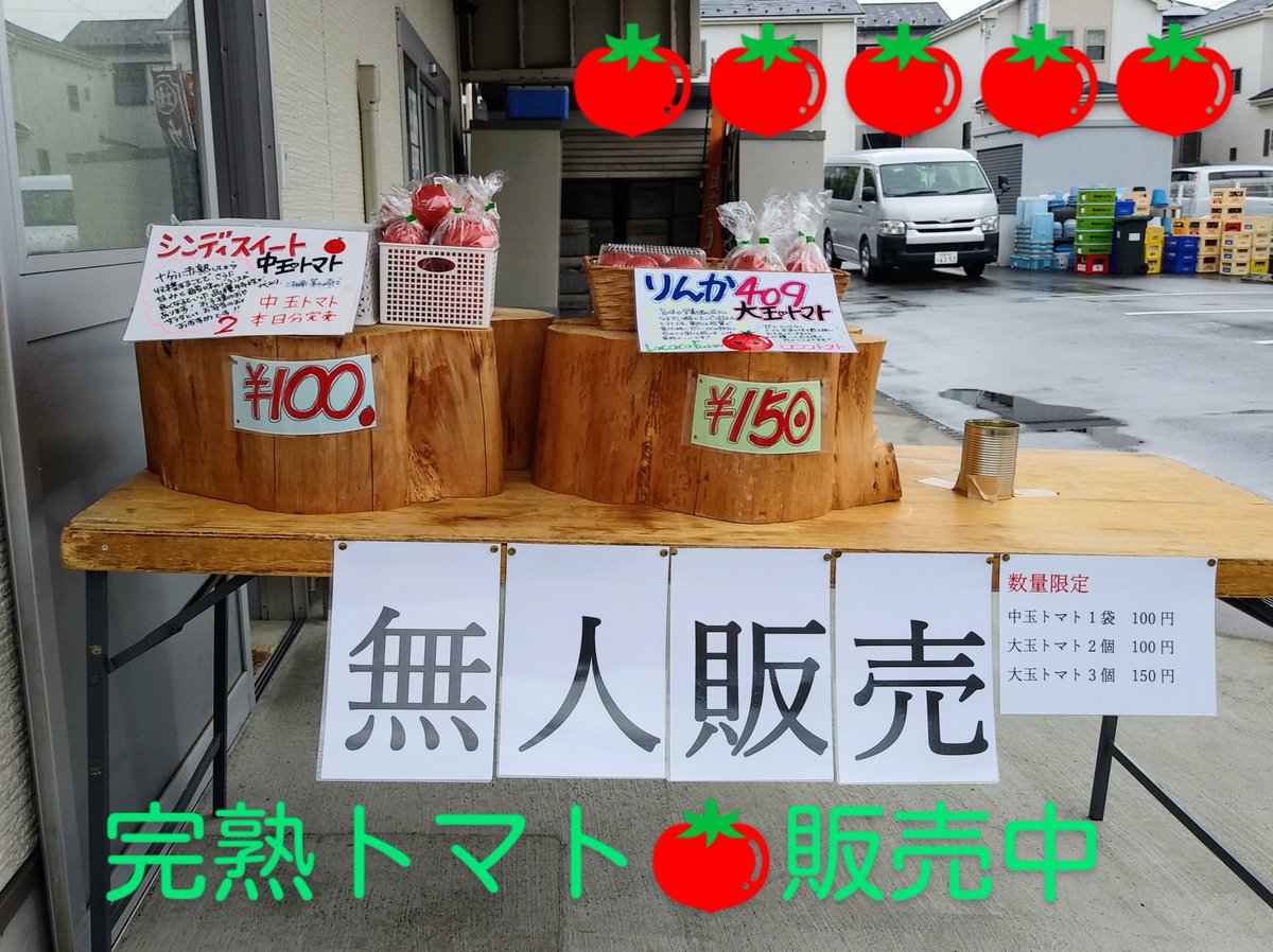 fujikitchen6933's tweet image. 🍅🍅🍅🍅🍅🍅🍅🍅🍅🍅🍅🍅🍅
🍅ロココファームの完熟トマト　　　　　🍅
🍅本日の食卓にいかがですか？☺️　　　　🍅
🍅🍅🍅🍅🍅🍅🍅🍅🍅🍅🍅🍅🍅

＃企業公式つぶやき部
＃買って応援　＃トマト
＃おうちでごはん
#栄養バランスを考える 
＃ふじきっちんカレー　＃平塚