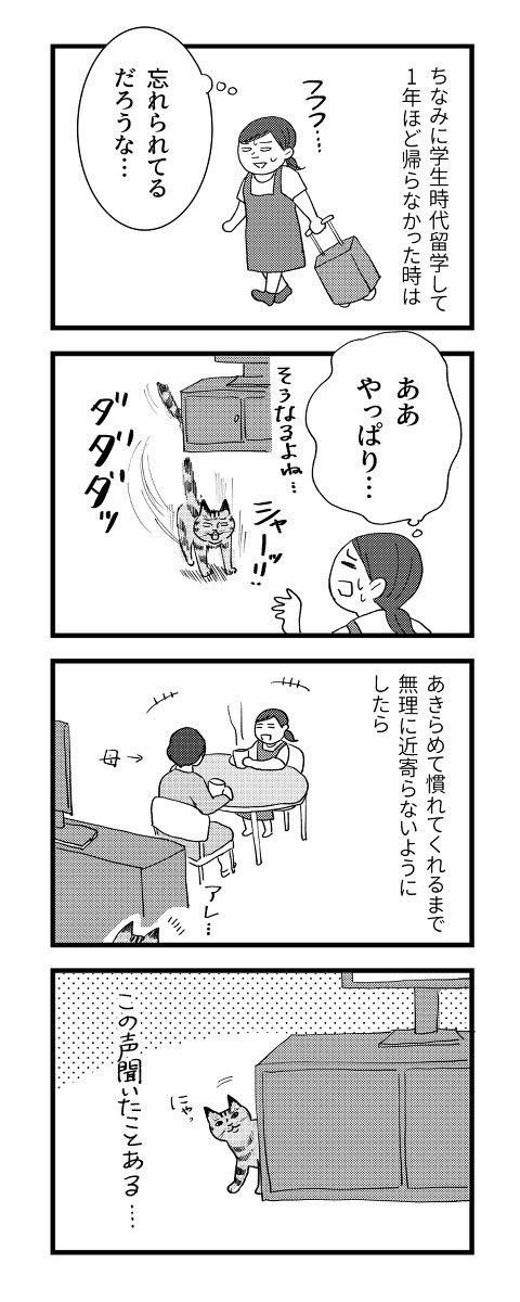 【猫のクリさんの思い出話】(2/3)
猫はとても情が深い… 