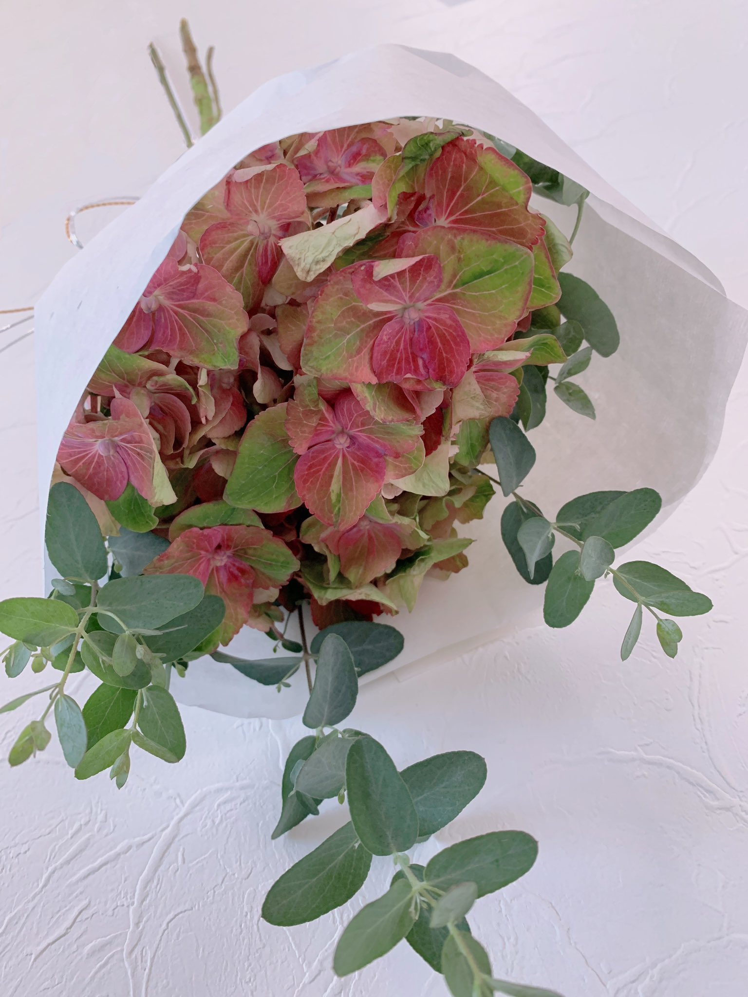 花屋 カフェ 椿 梅雨の時期の邪気をはらってくれる 紫陽花守り 紫陽花を半紙と水引で結び 6月の6の付く日 6日 16日 26日 に 家に吊るすと 魔除けや厄除けになって くれるそうです 紫陽花にユーカリやスモークツリーを 組み合わせるのも素敵です 𓈒 花屋 カフェ 椿 梅雨の時期の邪気をはらってくれる 紫陽花守り 紫陽花を半紙と水引で結び 6月の6の付く日 6日 16日 26日 に 家に吊るすと 魔除けや厄除けになって くれるそうです 紫陽花にユーカリやスモークツリーを 組み合わせるのも素敵です 𓈒