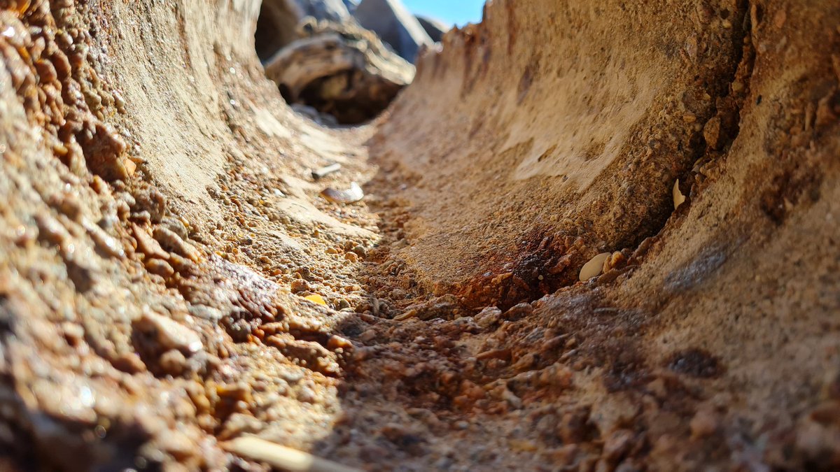 mouseartwork's tweet photo. Thought to post these photos I took yesterday.

#nature #NaturePhotography #Beach #photographer #photography #GoldCoast #beachphotography #camera #capture https://t.co/BZegvzjQg3