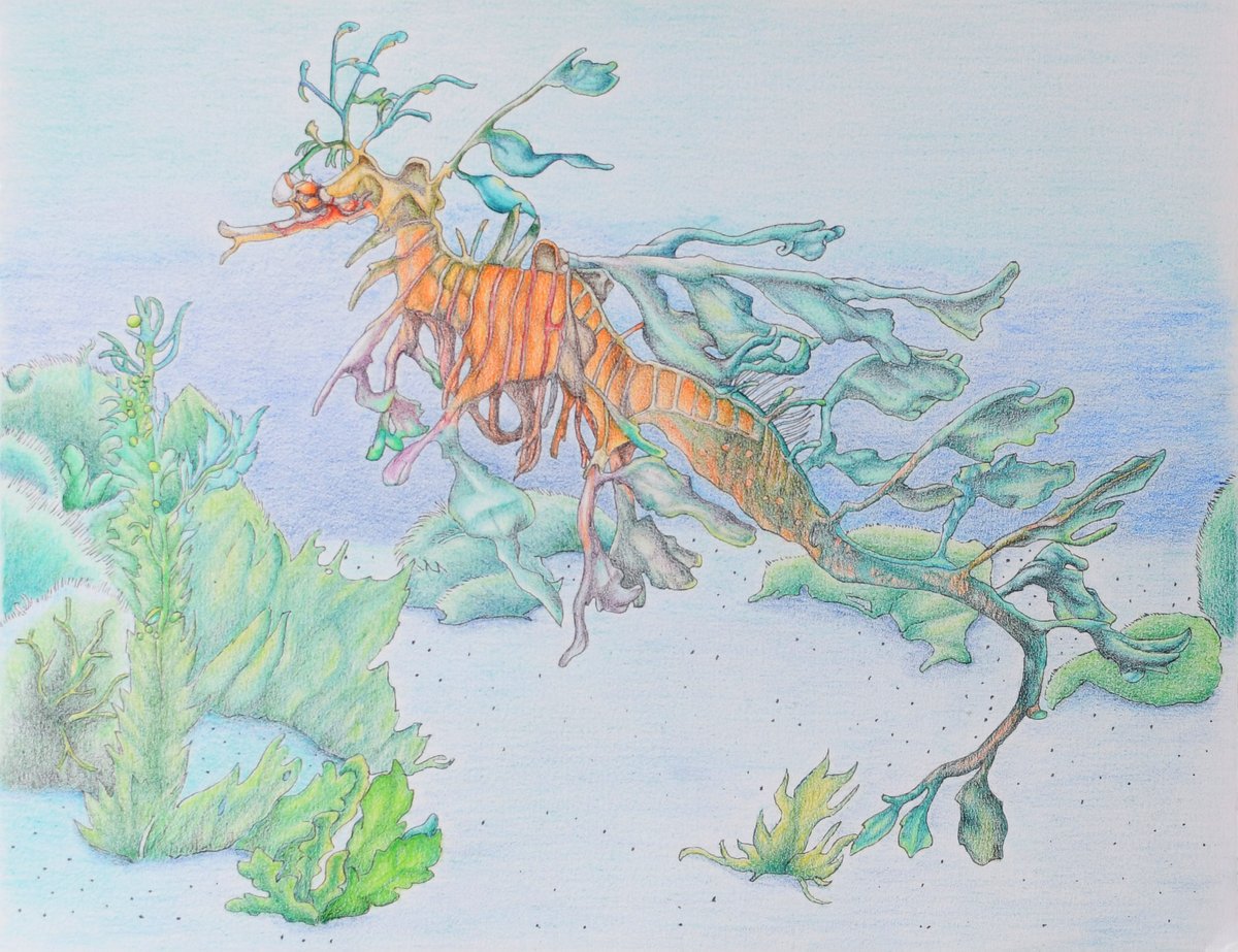 Twoucan リーフィーシードラゴン の注目ツイート イラスト マンガ