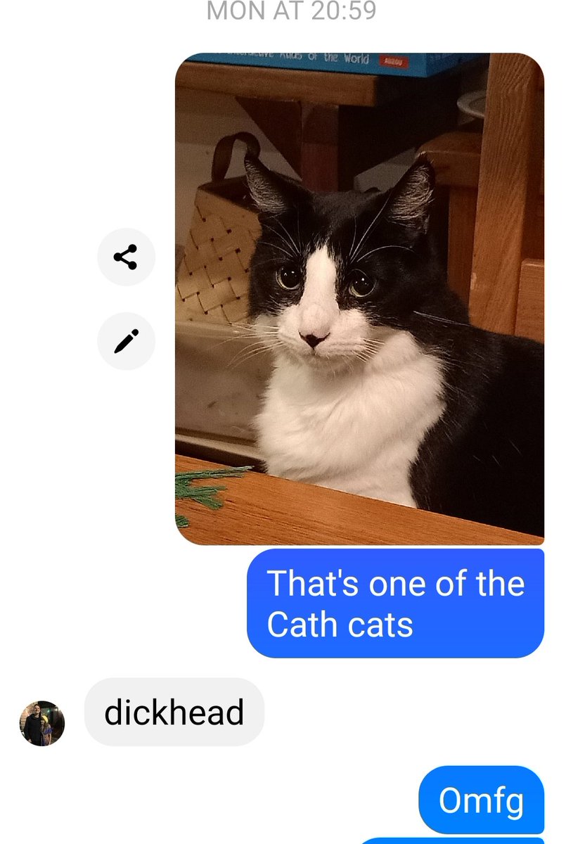 MisKnickers's tweet photo. Cos I obviously didn't make it clear the first time...
#DickheadCat https://t.co/xEu5vm8Erk