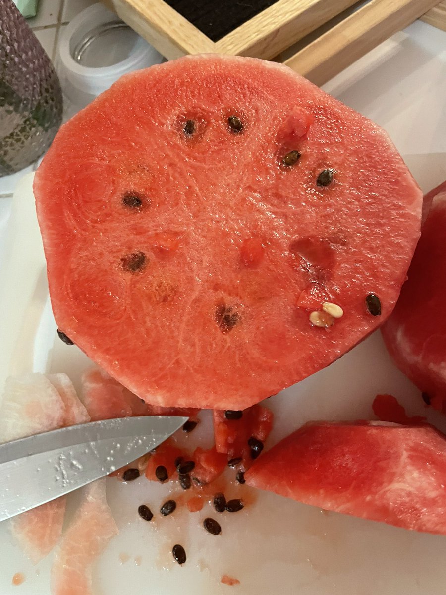 bobbyvandalay's tweet photo. @WholeFoods this is supposed to be seedless! https://t.co/32t3xMS11g