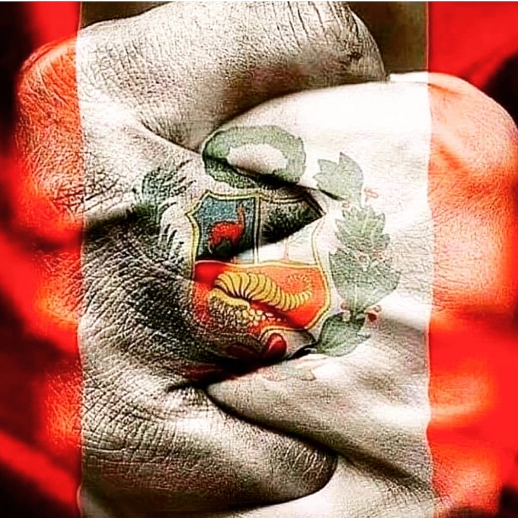 BarbaraCayoSang's tweet photo. VAMOS PERÚ. MAÑANA DECIDIMOS NUESTRO DESTINO. https://t.co/B0o1sBjR3w