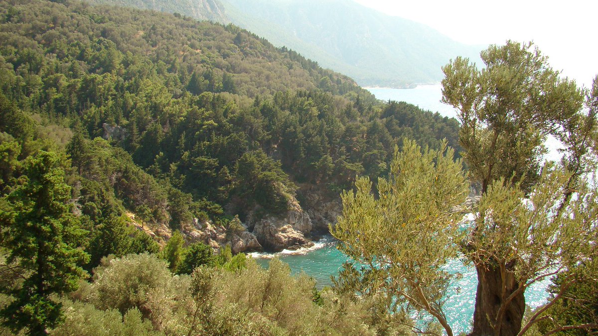 dimipyr's tweet photo. #samos #potami https://t.co/hIFsGBfi4g