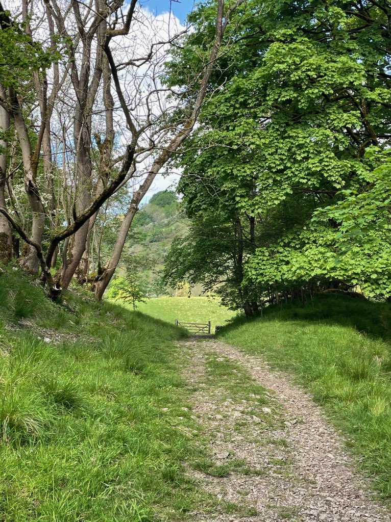 A superb walk along #MonsalTrail yesterday ☀️

@promderby2 @derbyshireprom1 #derbyshire #peakdistrict #derbyshiredales #MonsalTrail #CheeDale #BlueSky