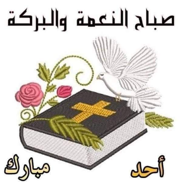 صباح الخير أحد مبارك ومقدس للجميع 🙏❤️