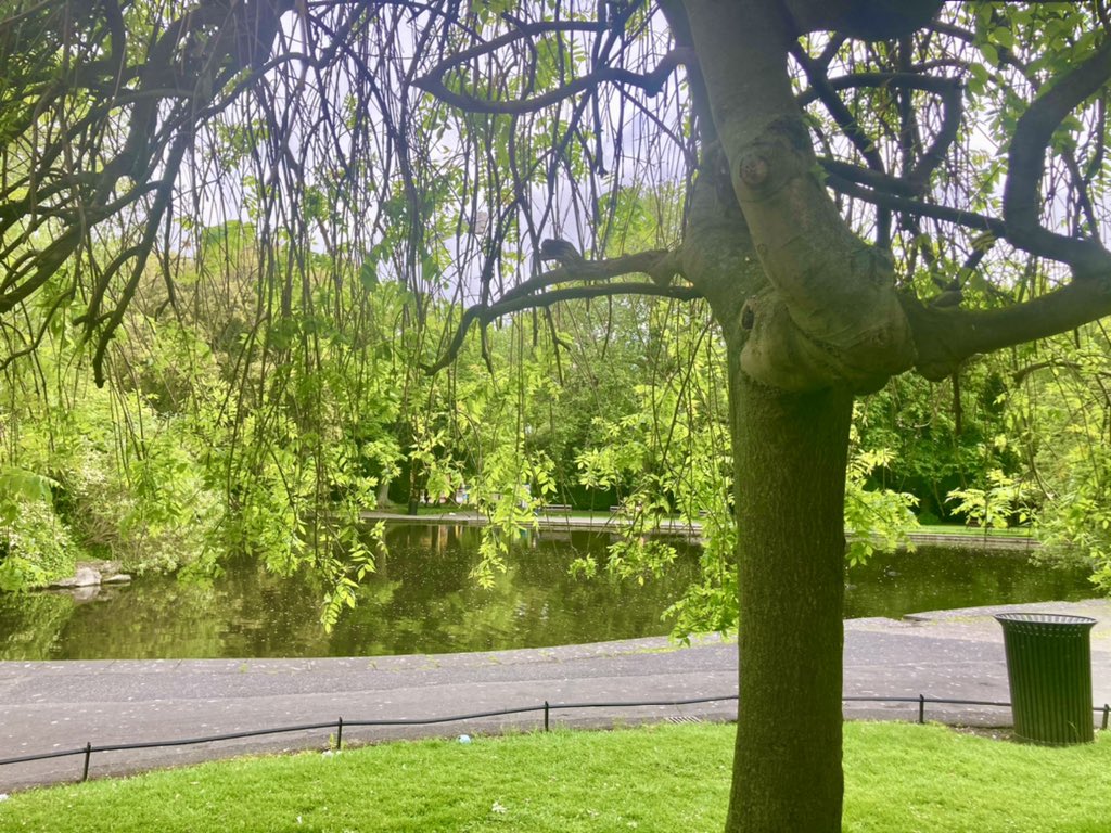 DunneOlwyn's tweet photo. Saturday is notparkrun day🌳✅ (until it’s safe for us to return🤞) .
A magical #staycation run around beautiful Dublin City in search of a #signpostselfie for all the team @witneyparkrun and Crabby 🦀.
#loveparkrun 🌳#pride #loveislove #Summer2021 https://t.co/6VeV7nFdFR