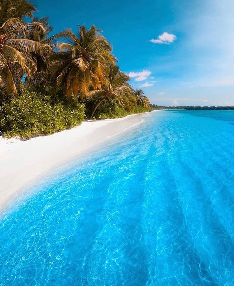 Nice Day💙💙💙💙