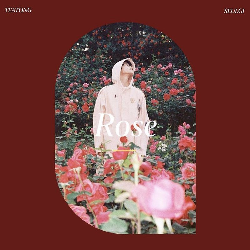 buiingbang's tweet photo. TAEYONG X SEULGI - ROSE 🌹 

Omg my favourite Red Velvet member Seulgi-ssi! Cant wait for the collaboration song to be released at 12AM KST ❤️ https://t.co/s7bBoCpmf4