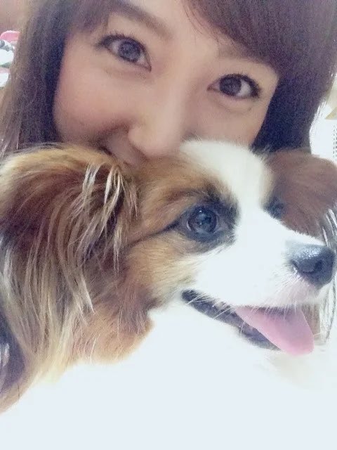 Ellie フリーアナウンサー有働由美子さんの犬 でもこの手は石田ゆり子さん 手乗りワン T Co Ftncnezrgs T Co Sdtp6yg8nk