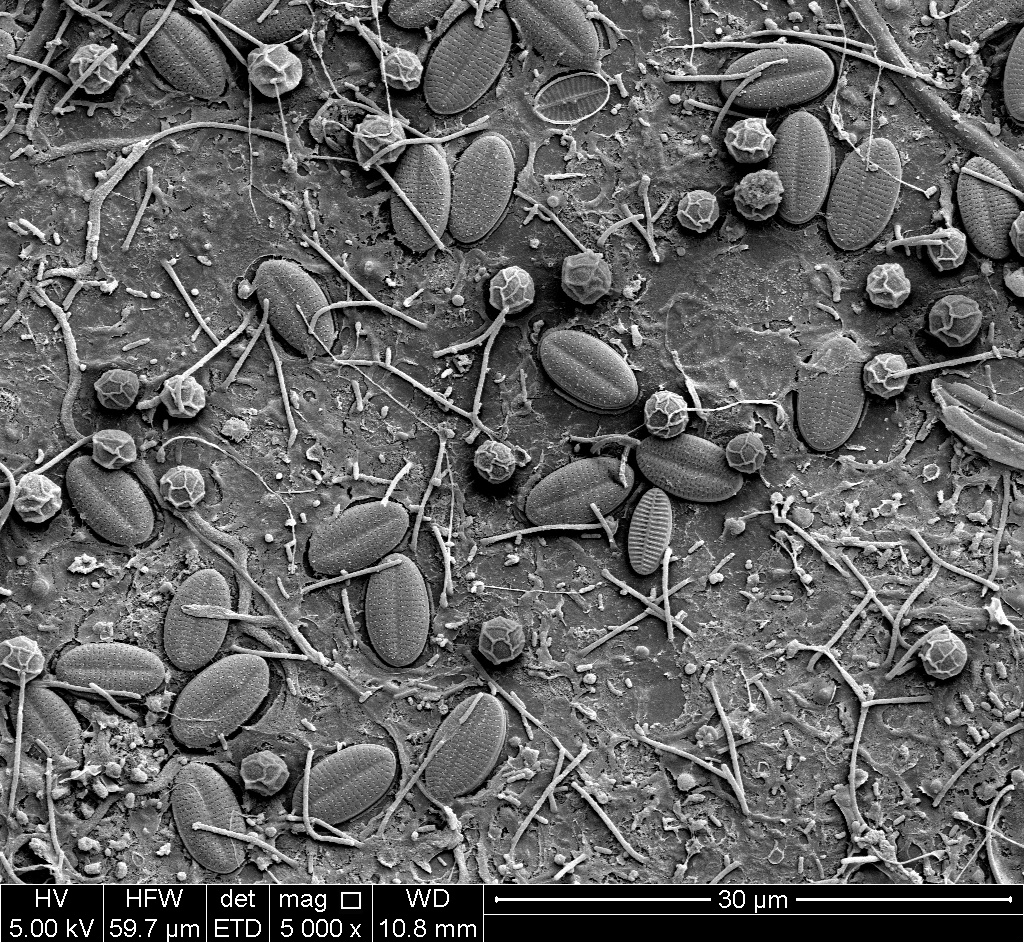 Where do rocks come from?, Faculty of Sciences, Engineering and Technology