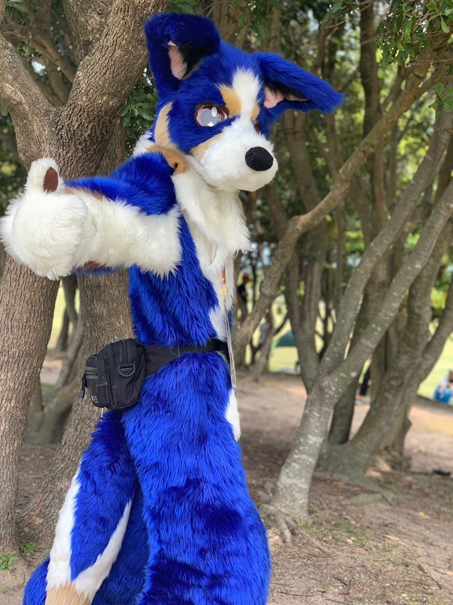 ブイ🐕‎🐱🐾 next➜ 😭 tweet media